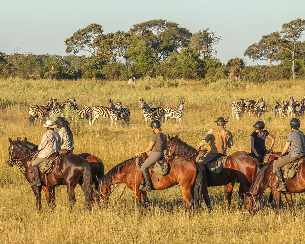 Horse Safari Package